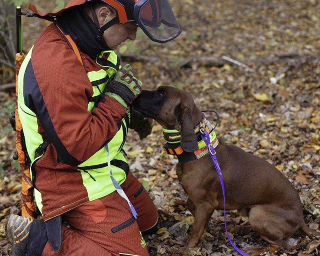 Francital Cerbere-Handschuhe Grün 11