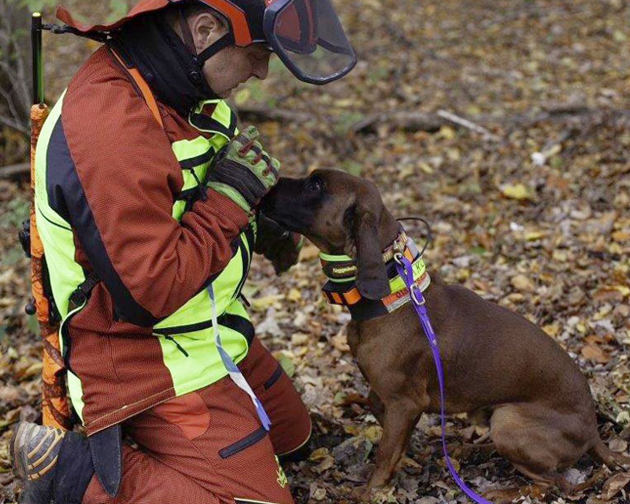 Francital Cerbere-Handschuhe Grün-Pink 7