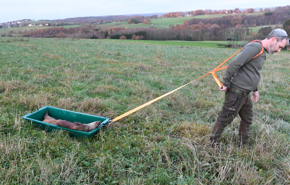 Wildwanne "Heck-Pack" 1000x500mm