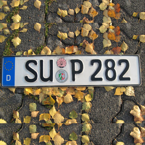 3. KFZ Kennzeichen nach Wahl (nur Deutschland)