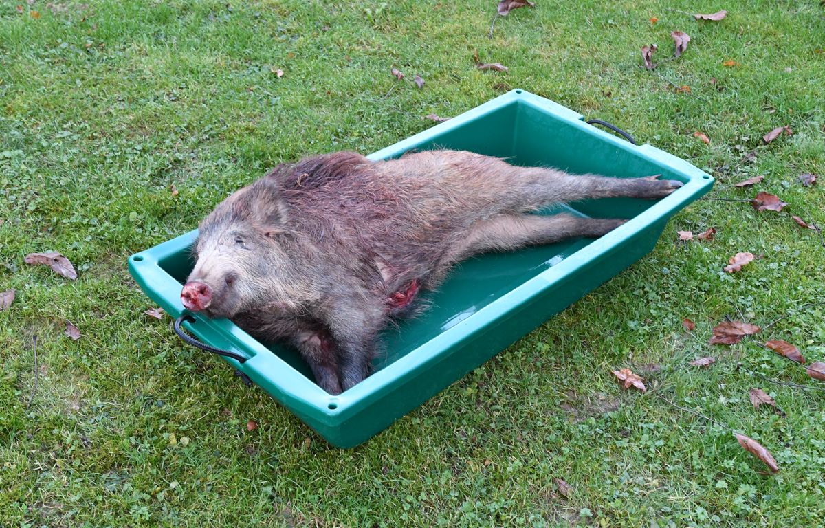 Wildwanne "Heck-Pack" 1000x500mm